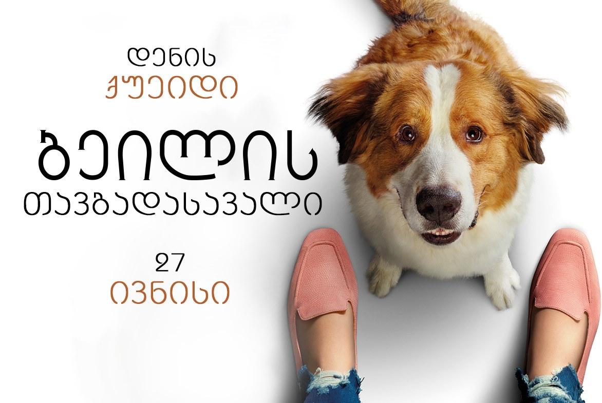 ბეილის თავგადასავალი