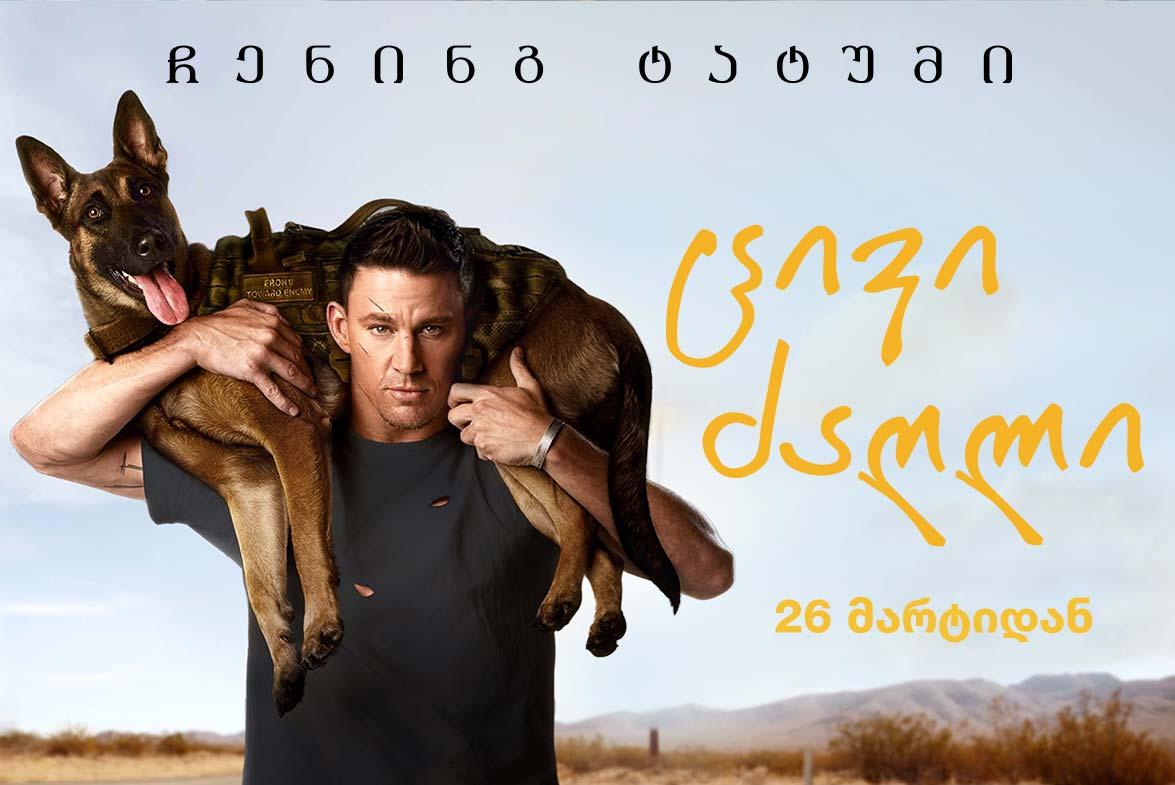 ცივი ძაღლი