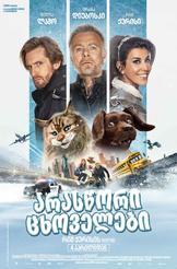 არასწორი ცხოველები