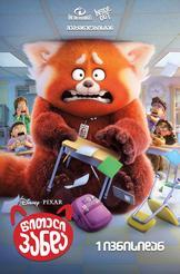 წითელი პანდა