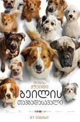 ბეილის თავგადასავალი