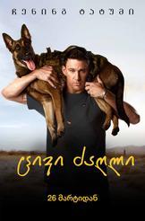 ცივი ძაღლი