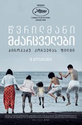 წვრილმანი მძარცველები