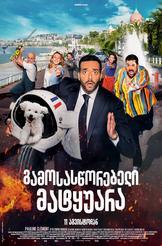 გამოსასწორებელი მატყუარა