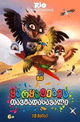 ყარყატების თავგადასავალი